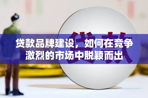 南丰贷款品牌建设，如何在竞争激烈的市场中脱颖而出