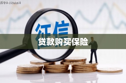 南丰贷款购买保险