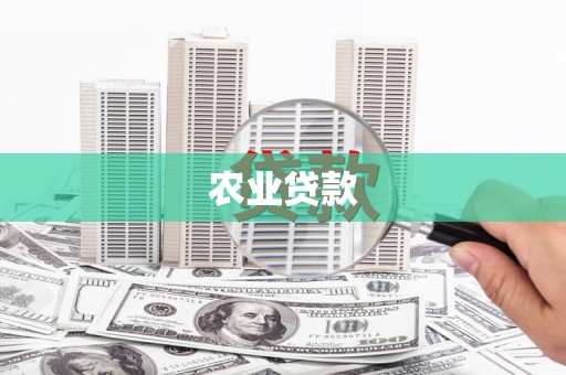 南丰农业贷款