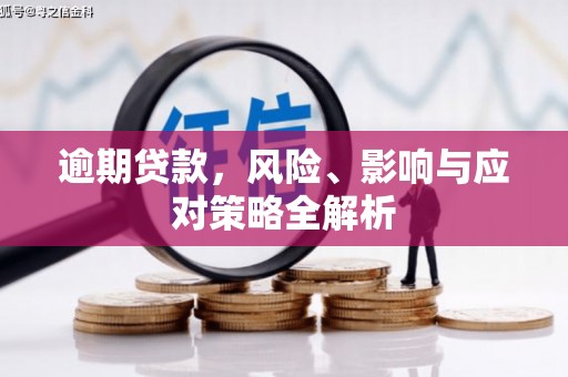 南丰逾期贷款，风险、影响与应对策略全解析