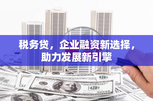 南丰税务贷，企业融资新选择，助力发展新引擎