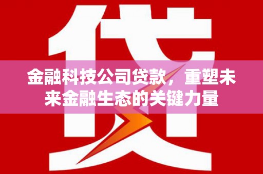 南丰金融科技公司贷款，重塑未来金融生态的关键力量