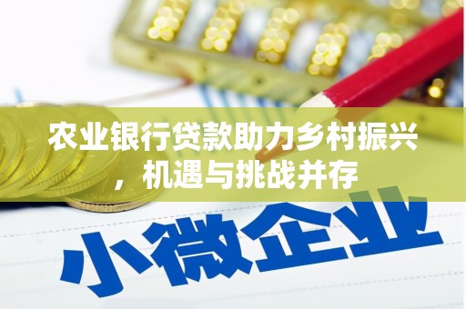 南丰农业银行贷款助力乡村振兴，机遇与挑战并存