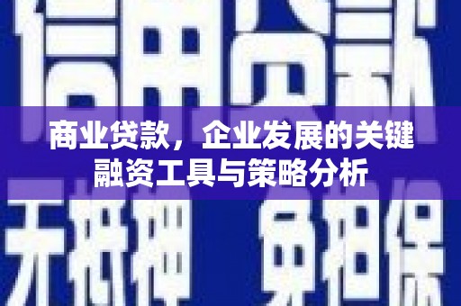 南丰商业贷款，企业发展的关键融资工具与策略分析