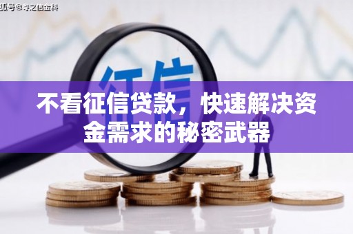 南丰不看征信贷款，快速解决资金需求的秘密武器