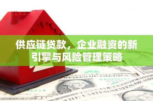 南丰供应链贷款，企业融资的新引擎与风险管理策略