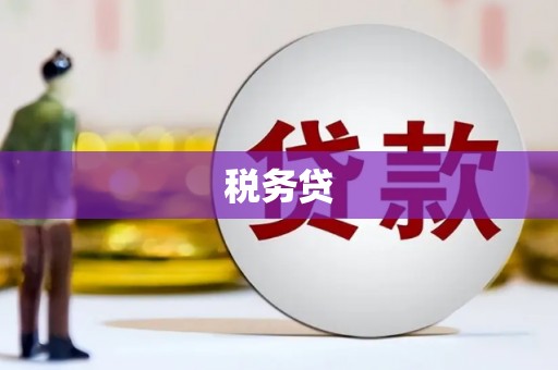 南丰税务贷