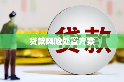 南丰贷款风险处置方案