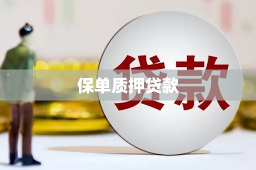 南丰保单质押贷款