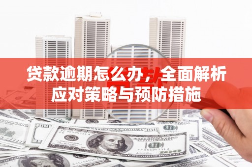 南丰贷款逾期怎么办，全面解析应对策略与预防措施