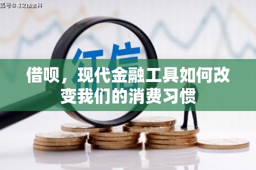 南丰借呗，现代金融工具如何改变我们的消费习惯