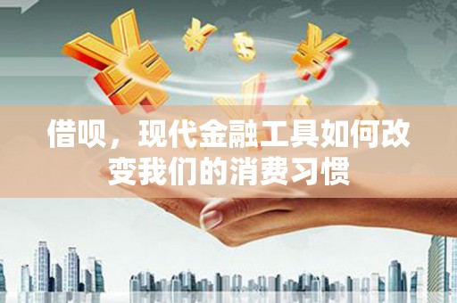 南丰借呗，现代金融工具如何改变我们的消费习惯