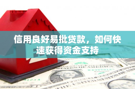 南丰信用良好易批贷款，如何快速获得资金支持
