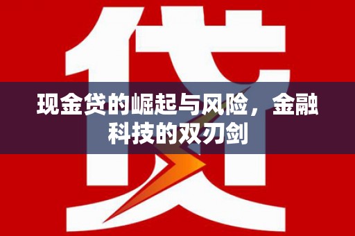 南丰现金贷的崛起与风险，金融科技的双刃剑