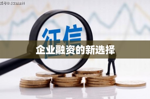 南丰企业融资的新选择