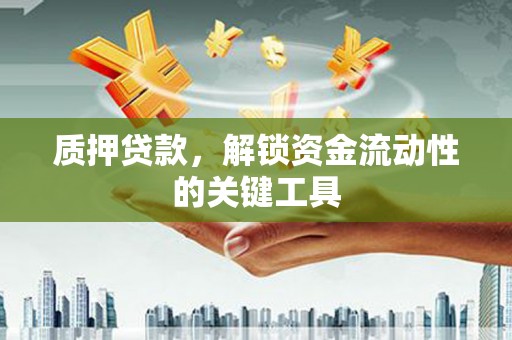 南丰质押贷款，解锁资金流动性的关键工具