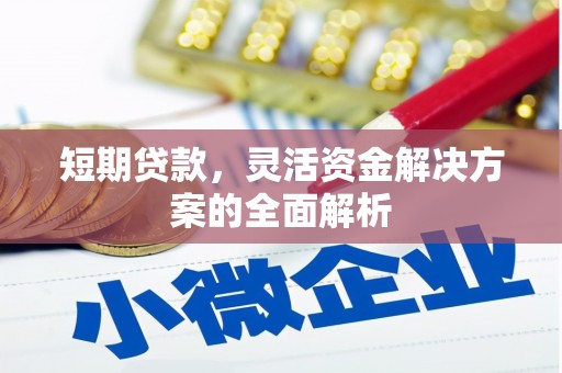 南丰短期贷款，灵活资金解决方案的全面解析