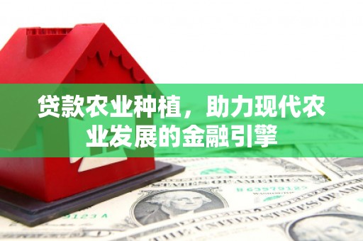 南丰贷款农业种植，助力现代农业发展的金融引擎