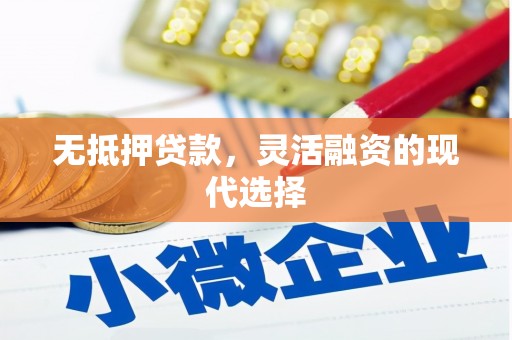 南丰无抵押贷款，灵活融资的现代选择