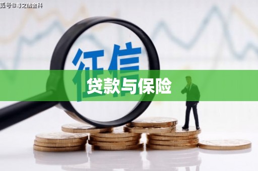 南丰贷款与保险