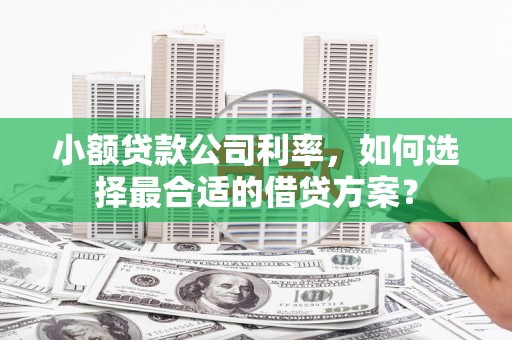 南丰小额贷款公司利率，如何选择最合适的借贷方案？
