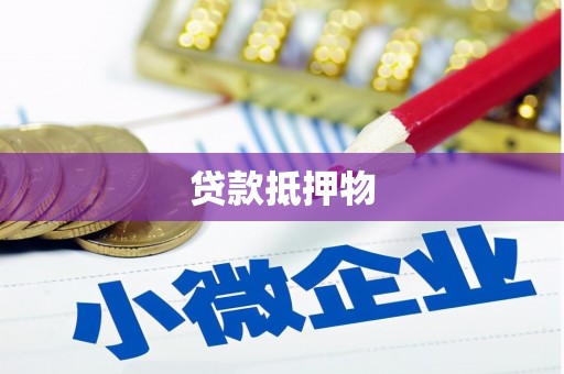 南丰贷款抵押物