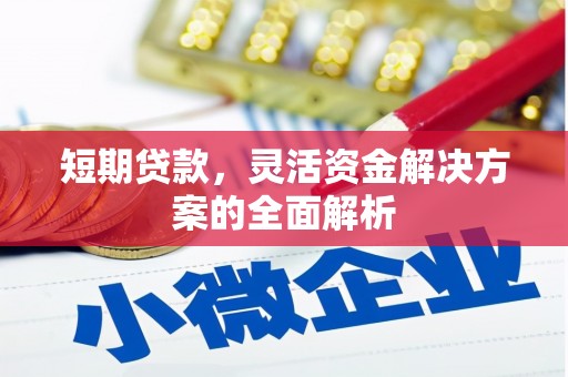 南丰短期贷款，灵活资金解决方案的全面解析