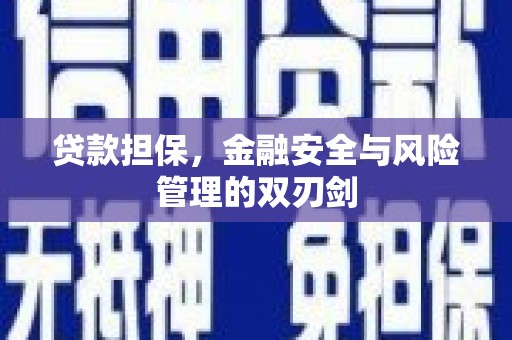 南丰贷款担保，金融安全与风险管理的双刃剑