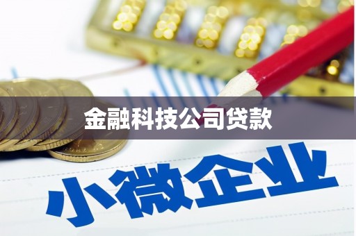 南丰金融科技公司贷款