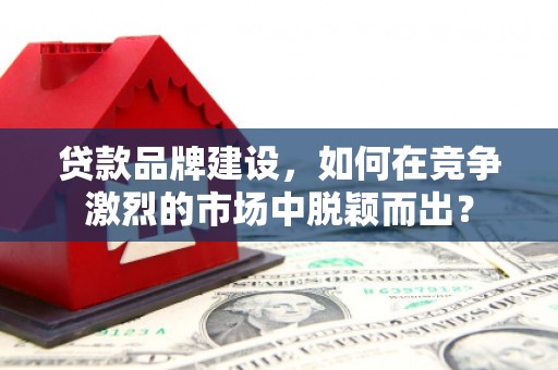 南丰贷款品牌建设，如何在竞争激烈的市场中脱颖而出？