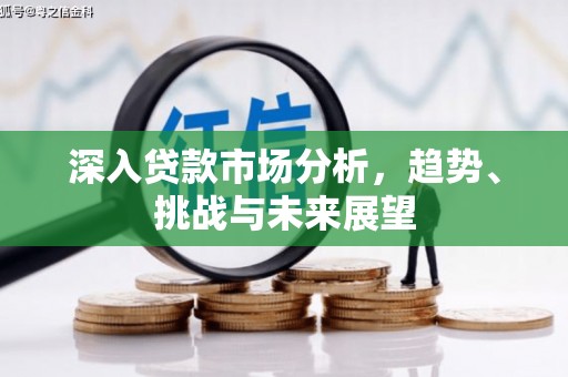 南丰深入贷款市场分析，趋势、挑战与未来展望