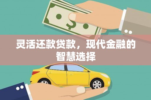 南丰灵活还款贷款，现代金融的智慧选择