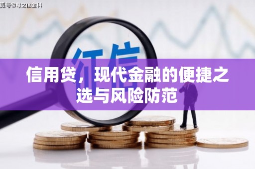 南丰信用贷，现代金融的便捷之选与风险防范