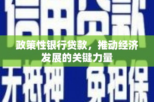 南丰政策性银行贷款，推动经济发展的关键力量