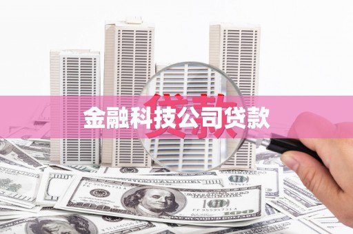 南丰金融科技公司贷款