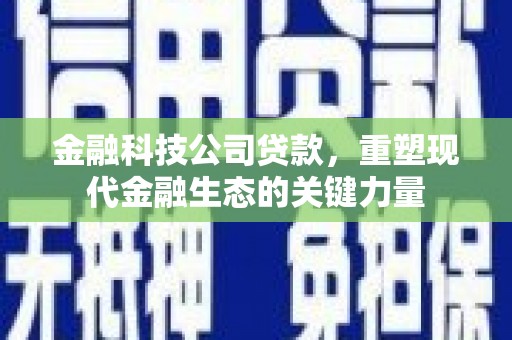 南丰金融科技公司贷款，重塑现代金融生态的关键力量