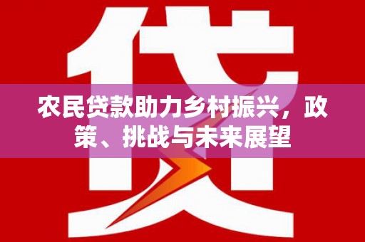 南丰农民贷款助力乡村振兴，政策、挑战与未来展望