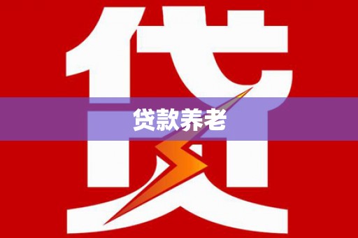 南丰贷款养老