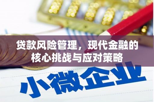 南丰贷款风险管理，现代金融的核心挑战与应对策略