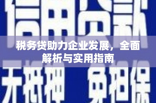 南丰税务贷助力企业发展，全面解析与实用指南