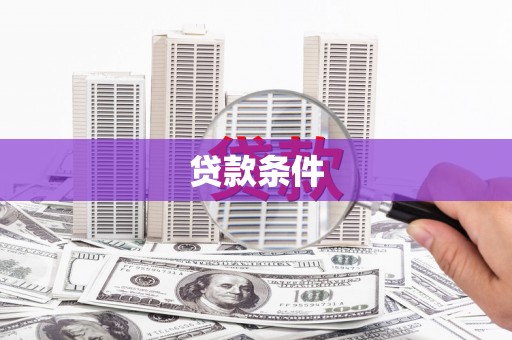 南丰贷款条件