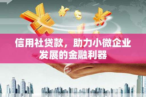 南丰信用社贷款，助力小微企业发展的金融利器