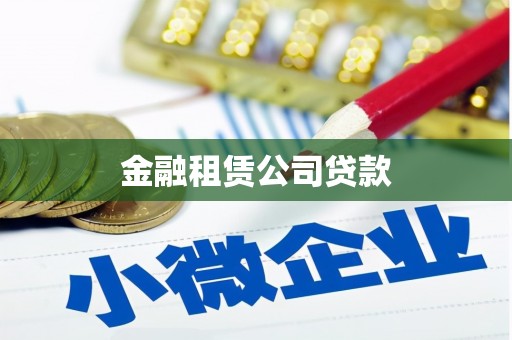 南丰金融租赁公司贷款