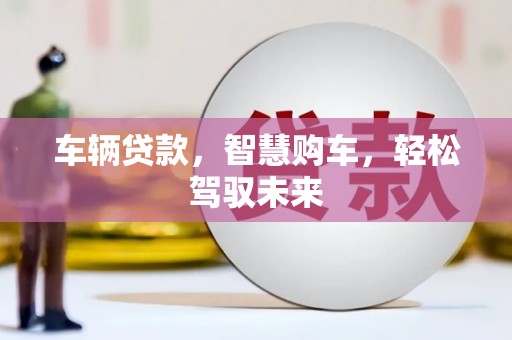 南丰车辆贷款，智慧购车，轻松驾驭未来