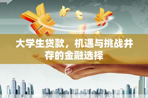 南丰大学生贷款，机遇与挑战并存的金融选择