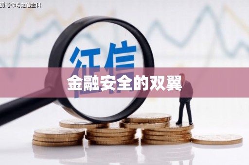 南丰金融安全的双翼