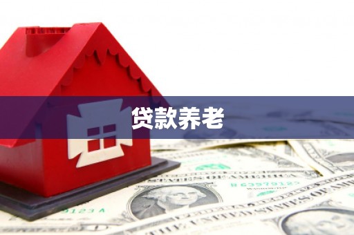 南丰贷款养老