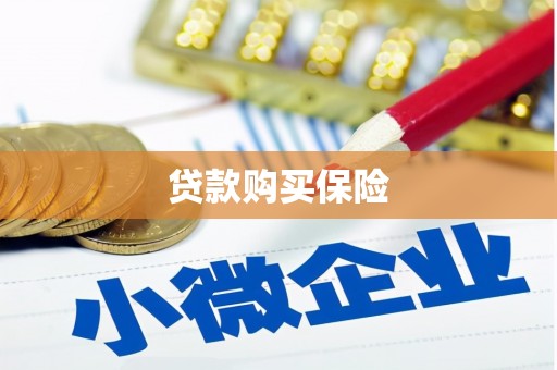 南丰贷款购买保险