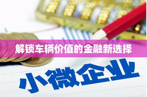 南丰解锁车辆价值的金融新选择