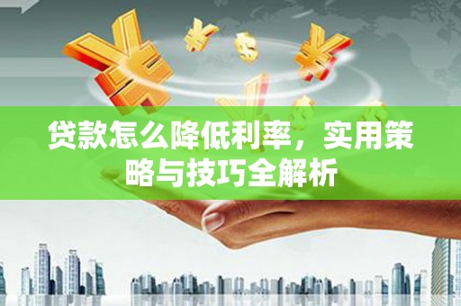 南丰贷款怎么降低利率，实用策略与技巧全解析